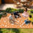Waterproof Reversible Outdoor Patio Rug 6x9ft - Vintage Floral Plastic Straw Mat - Lightweight, UV Resistant, Portable Bag - for RV, Camping, Deck, Backyard, Beach-1133265900-1133265898