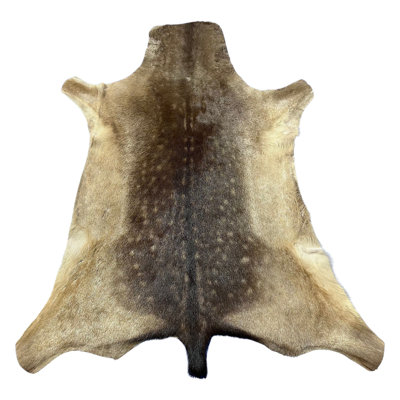 Real Fallow Deer Skin Rug