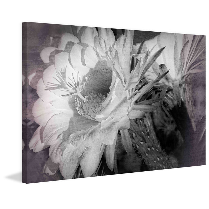 Big Bertha Blooms 1 Piece Wrapped Canvas Wall Art, 61cm H x 91cm W