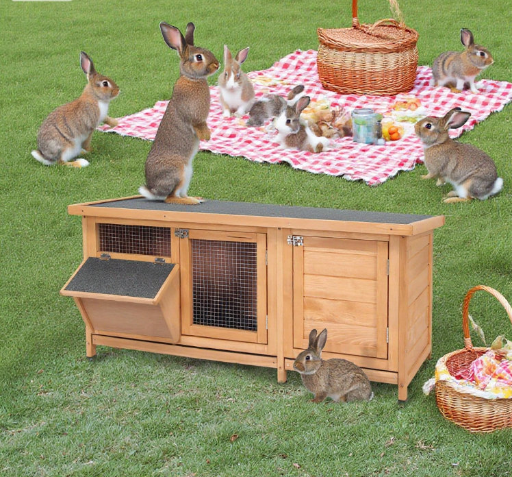 Cage à lapin, Jaune