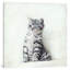 Art sur toile clin d’œil chat-21471204-74632101-74632106