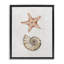  «Subtle Sea Life», art mural encadré flottant par Filippo Ioco-661293340-661293537