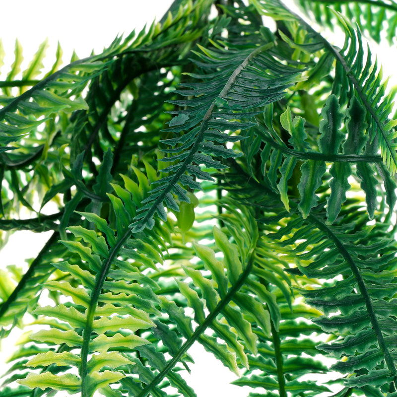 Boston Fern Leaf Arrangement