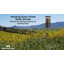 Carillon Woodstock Chimes-91102499-91102496