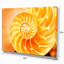 «Yellow Nautilus Shell» - impression sur toile tendue-18437913