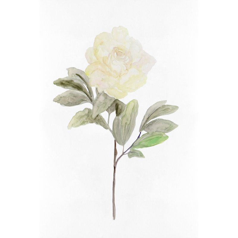 White Blossom V - Painting, Wrapped Canvas, 30cm H x 20cm W