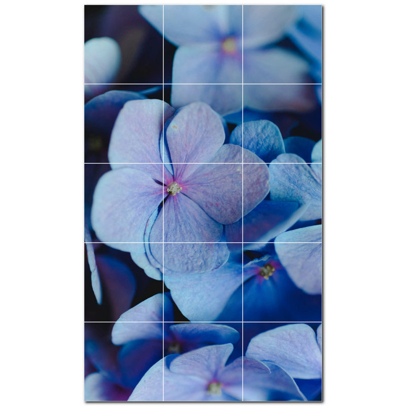 12 x 12
