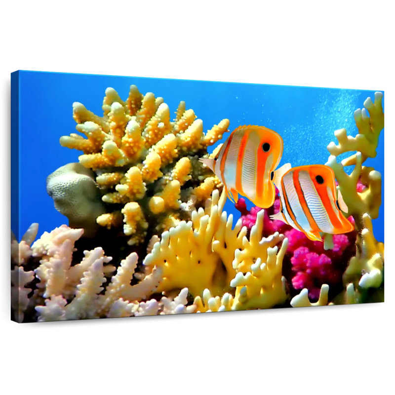 Butterflyfish And Corals, 32" H x 48" W