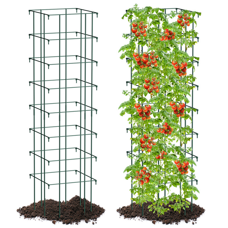 Cages à tomates Chantay pour treillis de plantes 12,2 po x 51,96 po pour plantes grimpantes, paquet de 1 pliant carré