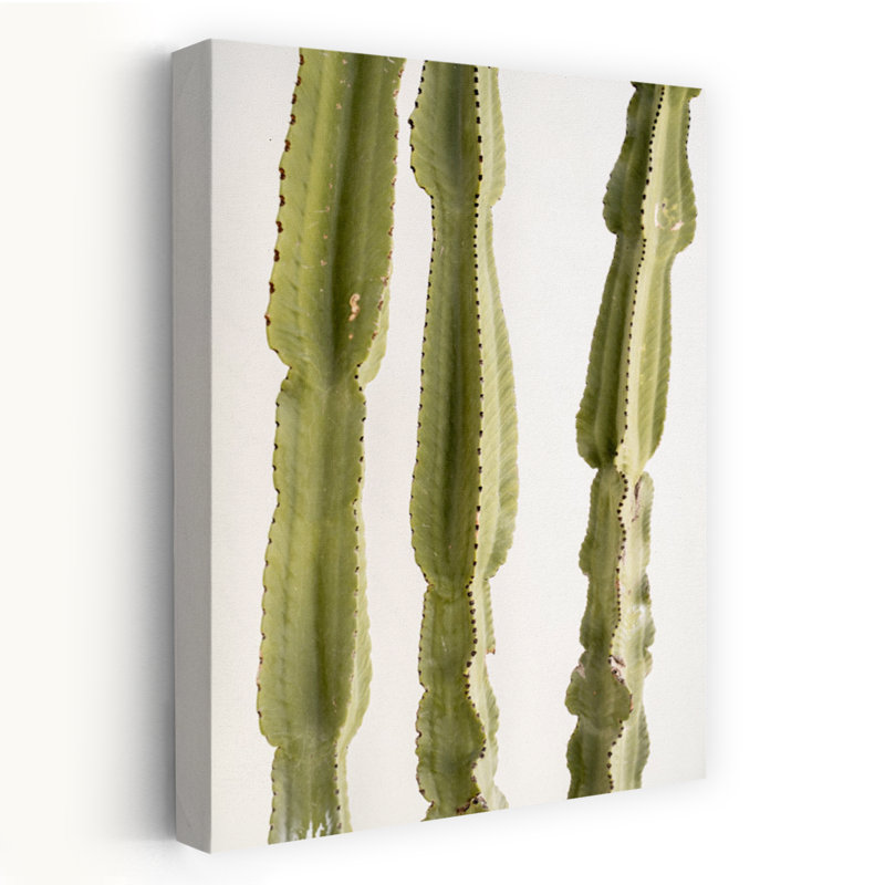 3 cactus abstraits, art mural contemporain, H 24 po x l 16 po