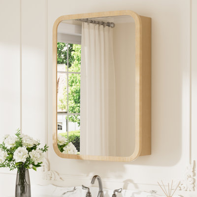 Nilo 20 in. W X 28 in. H Wood Medicine Cabinet with Mirror, Adjustable Glass Shelves, Reversible Door, Fully Assembled, Oak