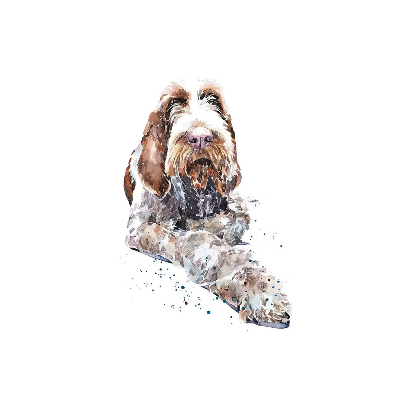 Spinone II - Painting on Canvas, Wrapped Canvas, 30.48 cm H x 45.72 cm W