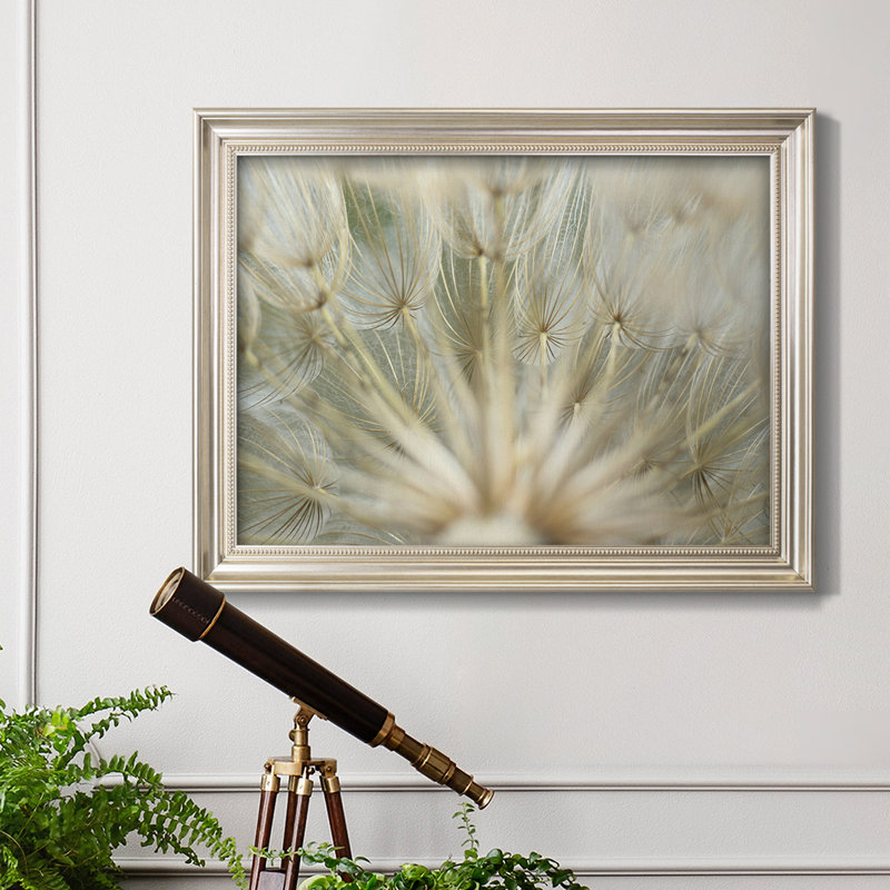 " Macro Dandelion IV ", 29" H x 41" W x 2.5" D