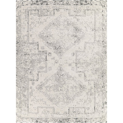 Hilaeira Grey Distressed Traditional Area Rug