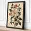 Study Botanical - Wrapped Canvas-475802041-475802038