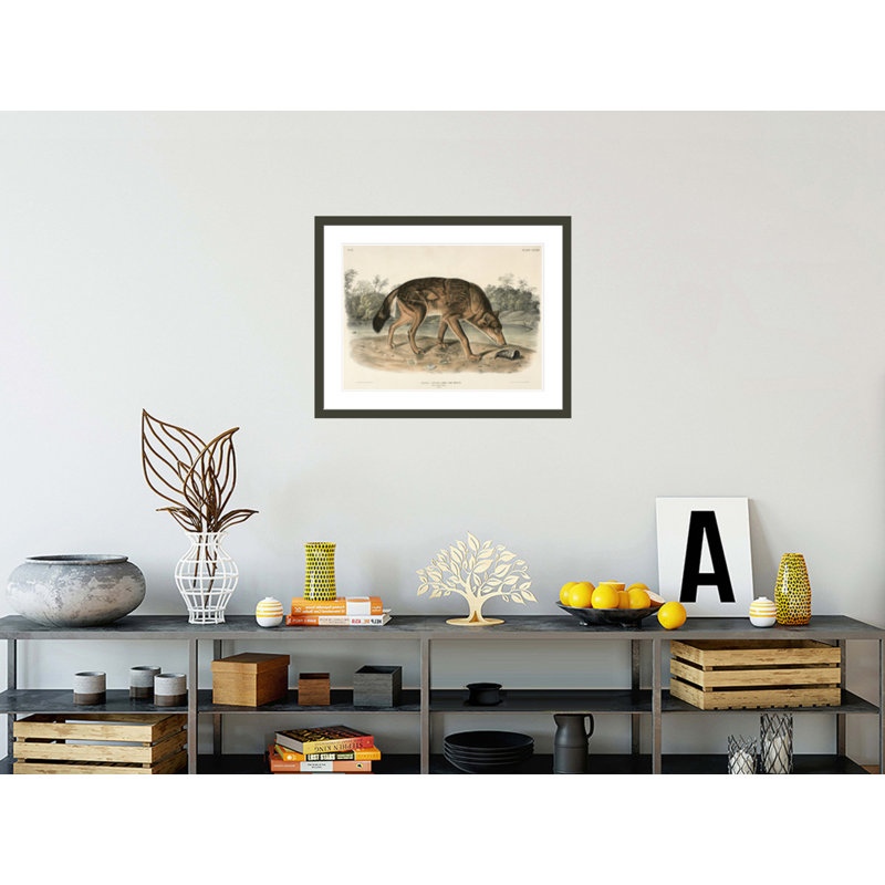 «Texas Wolf (Canis Lupus)» par John James Audubon, impression giclée encadrée, H 23,17 po x l 29,5 po