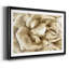 Neutral Wall Flower II, reproduction d'art encadrée-1372157038-1372157039