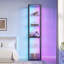 40 cm W Display Cabinet with Lighting-659209794