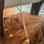 Customer photo 3 of 4