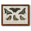 «Crackled Butterflies II», peinture sur toile encadrée-1900715890-1900715897