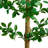 Artificial Shady Lady Black Olive Tree-228139991