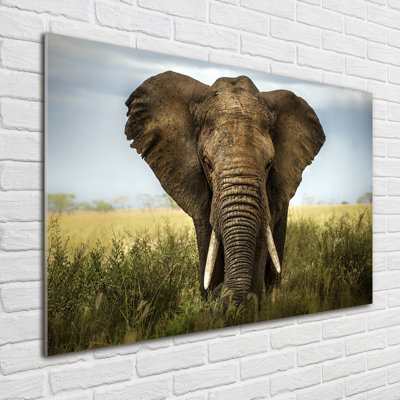 Elephant On The Savanna - No Frame Print on Glass