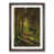 Walnut Framed selected