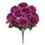 Grand rosier Jaafer Deluxe-927148383