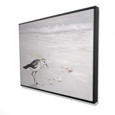 Semipalmated Sandpiper Print On Canvas