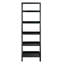 Danikka Ladder Bookcase