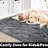 Carletta Indoor Rug