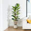 Adcock  Artificial Fiddle Leaf Fig Tree with Realistic Leaves and Natural Trunk, Potted Tree-1894643564