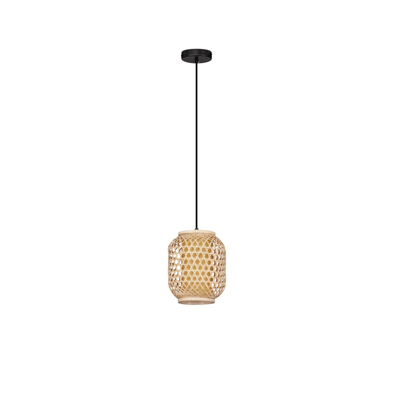 - Light Pendant