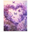 Print-1144916648