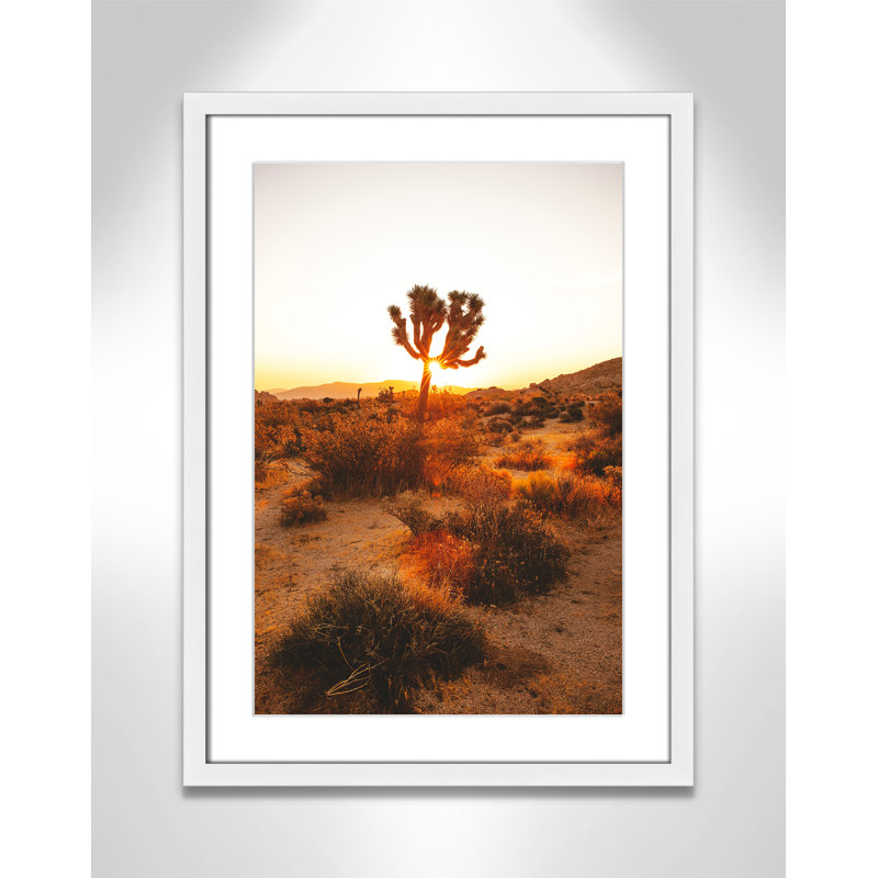 «Desert Dawn» par Joshua Earle - reproduction imprimée, H 23 po x l 17 po x P 1,25 po, Cadre blanc, Blanc