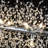 9 - Light 29 inch Dimmable Modern Glam Firework Crystal Chandelier-230578810