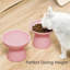 Rurik Elevated Feeder-1109078758