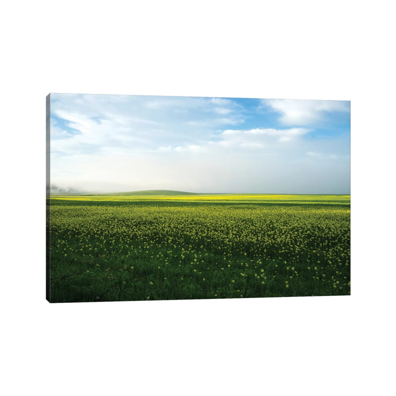 Mustard In The Mist by Heather Roberson - Wrapped Canvas Print, 20.32 cm H x 30.48 cm W