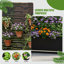 Planter Box-1957160950-1957160947