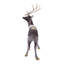 Cerf debout