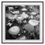 Café Umbrellas Print by Grand Archives-1307190285-1307190282