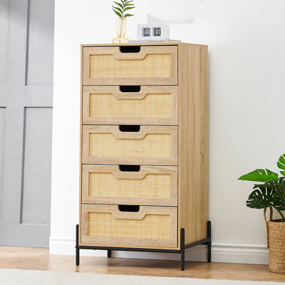 Analeah Iron Accent Chest by Bay Isle Home
