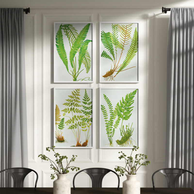 Fern Botanical Study - 4 pièces
