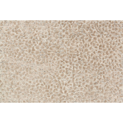 Rusch Abstract Hand-Tufted Beige Area Rug