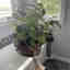 Customer photo 4 of 4
