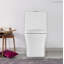 Dual-Flush One-Piece Toilet (Seat Included)-48500708