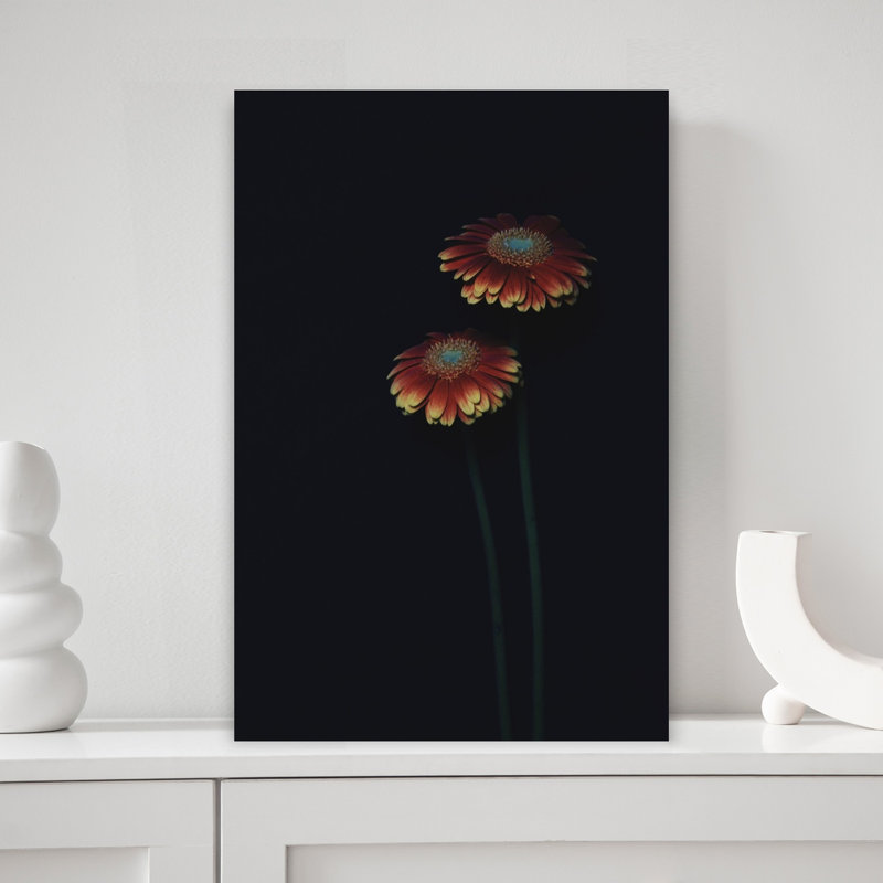 Dramatic Gerbera Duo by Kasetsu Yosuji - Wrapped Canvas Print, 45.72 cm H x 30.48 cm W