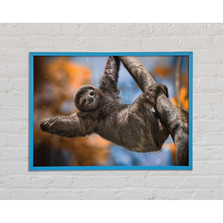 Union Rustic Sloth Hanging From A Tree - Single Picture Frame Art ...