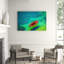 Shallow Shores Print-23528174