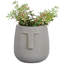 IDEALIST Textured Concrete Effect Oval Face Planter, Indoor Head Plant Pot for Indoor Plants-1163172224-1163172225